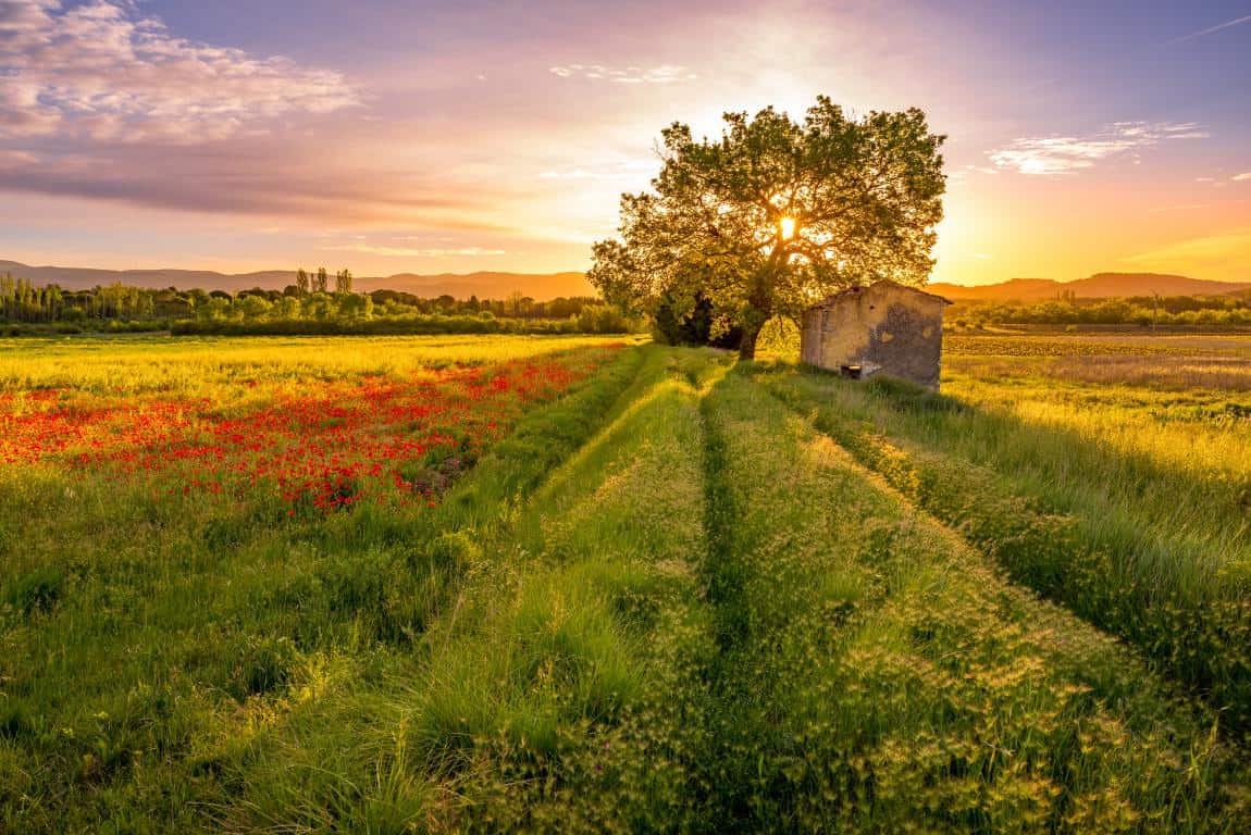 mini_AdobeStock_507695272